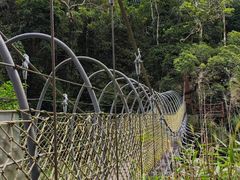 -海南热带雨林国家公园吊罗山景区