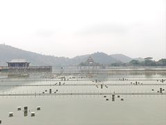 -顺峰山公园