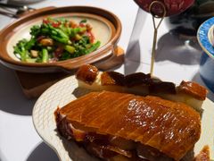 -阿五黄河大鲤鱼(纬三路店)