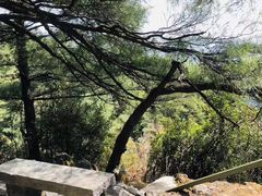 -苍山感通索道
