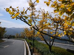 -江南天池