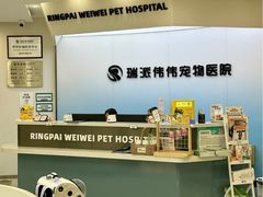 -伟伟宠物医院·CT影像中心·瑞派犬猫综合性门诊(汉口总院)