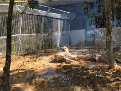 -泉州海丝野生动物世界