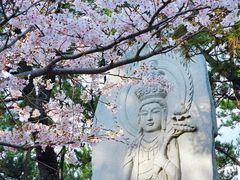 -海东龙宫寺