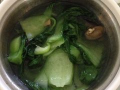 香菇青菜-老乡鸡(合肥高铁南站店)
