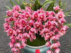 -F.Story 花和故事(新天地店)