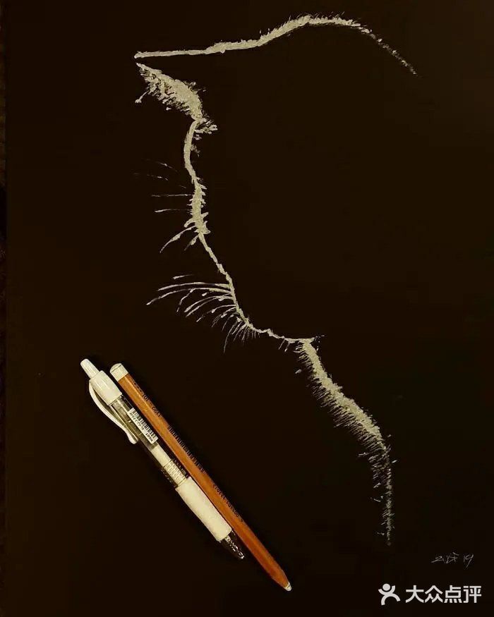 犹抱琵琶半遮面，这样的素描画太酷了，仿佛会发光 。[加油]