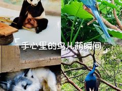 -柳州市动物园