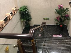 -宠爱国际动物医院·疑难骨科·心肾内科·皮肤科(太阳宫店)