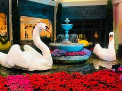 -拉斯维加斯永利酒店