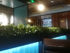 -东椰·海南椰子鸡火锅(朝阳门店)