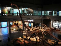 -自贡恐龙博物馆