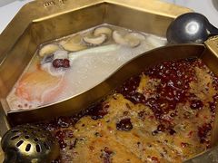 -蜀九香火锅(彩虹店)