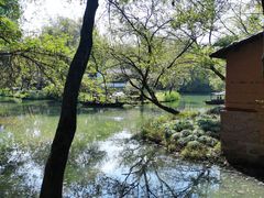 -西溪国家湿地公园