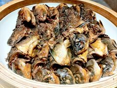 -欢乐海岸美食联盟