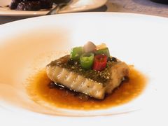 黑鸡纵菌蒸深海鱼-福玺荟(外滩罗斯福店)