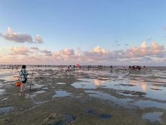 -北海金海湾红树林生态旅游区