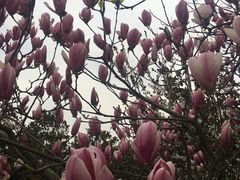 -艾溪湖湿地公园