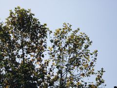 -墨池公园