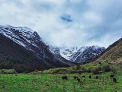 -硗碛藏寨·神木垒景区