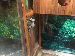-上海大自然野生昆虫馆(东方明珠·爬宠昆虫探索中心)