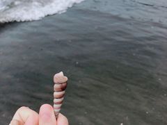 -台山黑沙湾海浴场