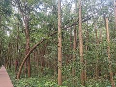 -同里国家湿地公园