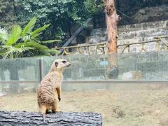 -上方山森林动物世界