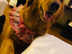 -浔岚云舍mist静谧观景美宿(丽江古城店)