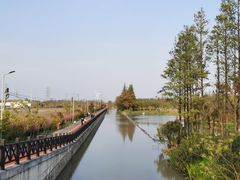 -上海长兴岛郊野公园