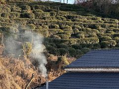 -黄山太平湖风景区