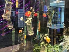 -植物学家的女儿(北马道巷店)