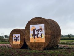 -嘉北郊野公园