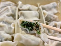 猪肉小白菜馅饺子-东方饺子王(新奥购物中心店)