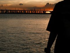 -宝安西湾红树林湿地公园