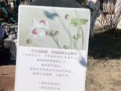 -Jo's Garden