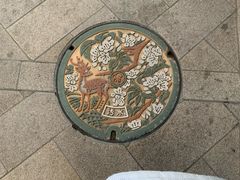 -奈良公园