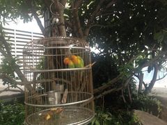 iphone_upload_pic-苏州环球188国际公寓(金鸡湖店)