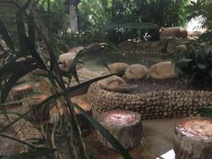 -三江森林温泉度假区