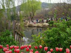 -白马涧龙池景区