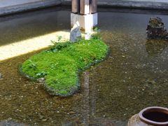 -几荷·恰似故人来(秀水广场店)