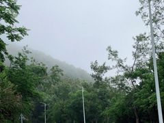 -梧桐山风景名胜区