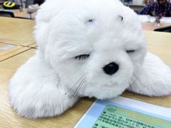-日本大使馆-新闻文化中心