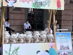 -西安电影制片厂