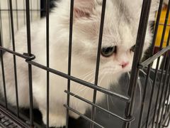 -凯德广场(武胜路店)