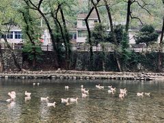 -鹿亭中村