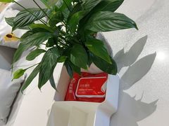 -海底捞火锅(威高广场店)