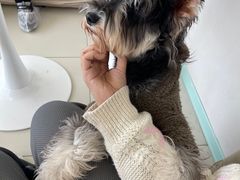 -怪兽屋·羊驼·猫咖·狗咖(俊华广场店)