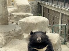 -石家庄市动物园