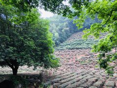-杭州西湖风景名胜区-三生石